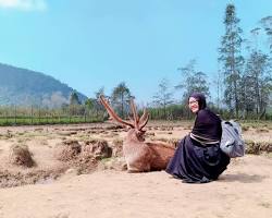 Image of Foto Bima di Ranca Upas