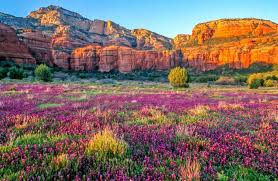 Image result for sedona