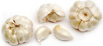 Image result for garlic