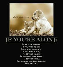 I love my furry kids! | &lt;3 my dogs | Pinterest | Kid, I Love and Love via Relatably.com