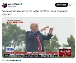 Yahoo News Canada - News update