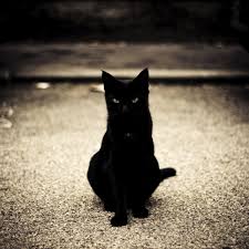 Image result for humor negro siniestro