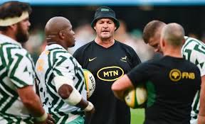 Springboks back depth as they face Wales without big-name stars
