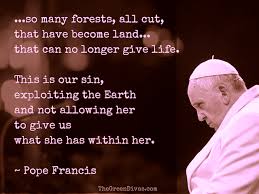 Pope Francis Calls Destruction of Nature a Modern Sin - The Green ... via Relatably.com