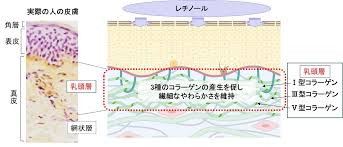 資生堂 企業情報 - News update