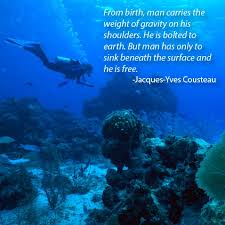 Scuba on Pinterest | Scubas, Scuba Diving and Diving via Relatably.com