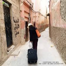 Image result for travel suitcase