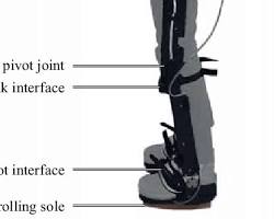 Image of Passive exoskeleton