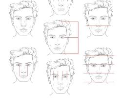 Image of face with proportional guidelines