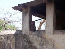 Sanjay Gandhi National Park - Mumbai (Bombay) - Bewertungen und ...