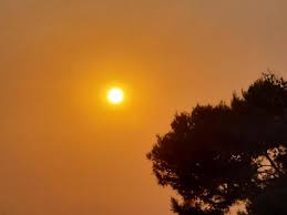 Trend Google: meteo cagliari