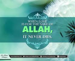75+ Beautiful Islamic Quotes About Life With Pictures &amp; Images via Relatably.com