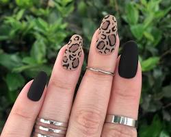 Hình ảnh về Leopard black nails