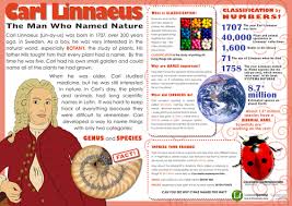 Image result for linnaeus