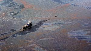 Image result for the gulf oil spill