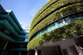 Image result for green architecture