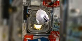 don pettit iss space potato Picture