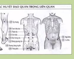 Hình ảnh về Huyệt tọa quan