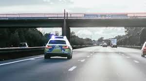 Wasserbüffel bricht auf A1 aus: Schüsse auf Autos, Polizei untersucht ungewöhnlichen Zwischenfall
