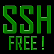 Hasil gambar untuk ssh
