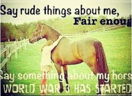 Barrel Racing Quotes on Pinterest | Barrel Racing, Barrel Racing ... via Relatably.com