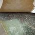 Australia: Mozambique debris almost certainly from MH370