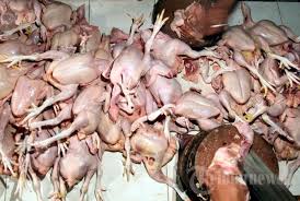 Image result for ayam potong
