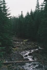 Image result for Military@BELT KEEPERS