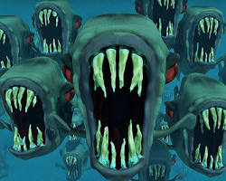 人を襲うことは稀なピラニアの画像