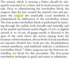 Image result for eyeball enucleation cattle