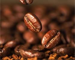 تصویر Robusta coffee beans