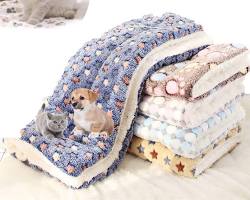 pet mat and blanketの画像