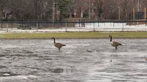 News source: CTV News