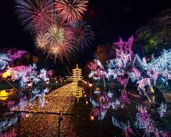 ウインターイルミネーション20242025備北イルミの画像