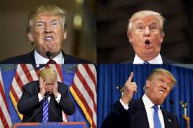 Bildergebnis für elections usa