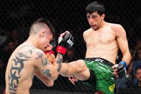 MMA Fighting - News update