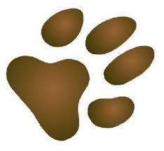 Résultats de recherche d'images pour « patte de chien »