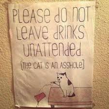 Image result for Deborah Ferrier