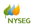 New york state gas and electric