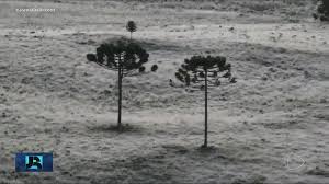 Estados do Sul registram nesta terça-feira (28) as temperaturas mais baixas do ano