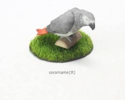 ヨウムの3Dフィギュアの画像