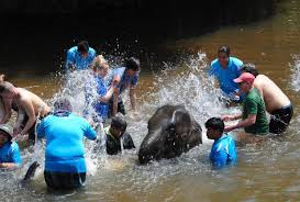 Image result for gambar Avani Hotels Sepang