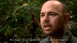 Hand picked 10 distinguished quotes by karl pilkington picture Hindi via Relatably.com