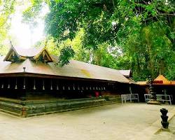 Image of Mannarasala Sree Nagaraja Temple, Alleppey