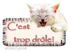 Résultat de recherche d'images pour 