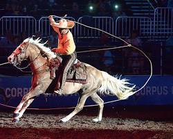 Imagen de Charro riding a horse