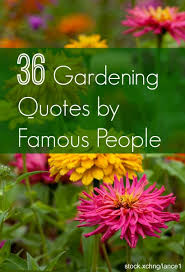 36 Awesome Gardening Quotes by Famous People | INSTALL-IT-DIRECT via Relatably.com