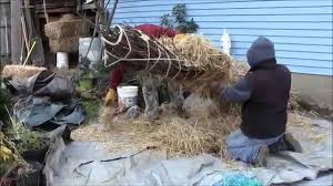 Résultat de recherche d'images pour "burying fig trees"