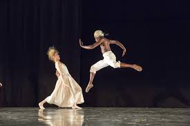 Image result for IRAN HORSES