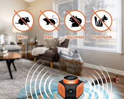 Изображение: Ultrasonic rodent repellent